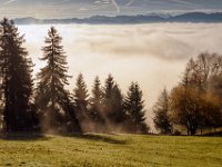 2013.10.31_092913_Auerberg und Königsschlösser Herbst_2.jpg